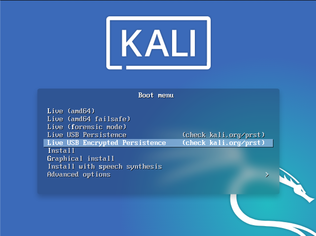 kali boot menu