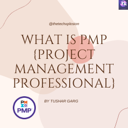 Project Management Professional
