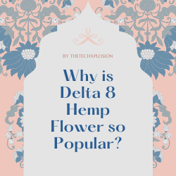 Why is Delta 8 Hemp Flower so Popular?