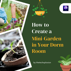 Mini-Garden in Your Dorm Room