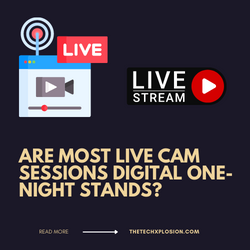 Are Most Live Cam Sessions Digital One-Night Stands?