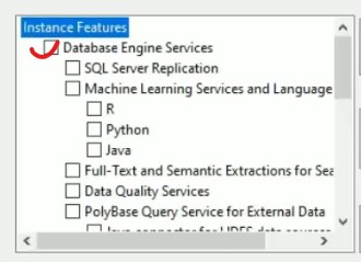 Setting Instance Features