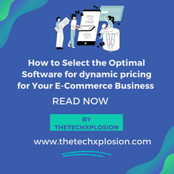 How to Select the Optimal Software for dynamic pricing for Your E-Commerce Business