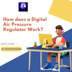 How does a Digital Air Pressure Regulator Work?